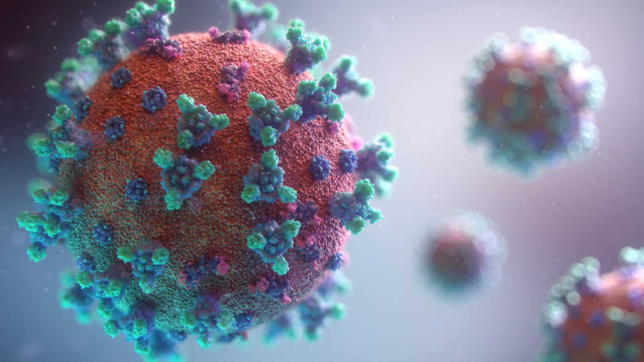 Image of a coronavirus and its spikes